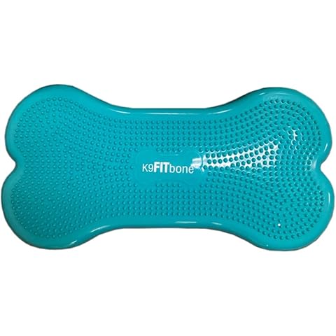 FitPAWS thumbnail
