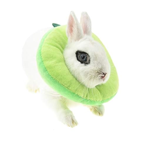 FLAdorepet thumbnail