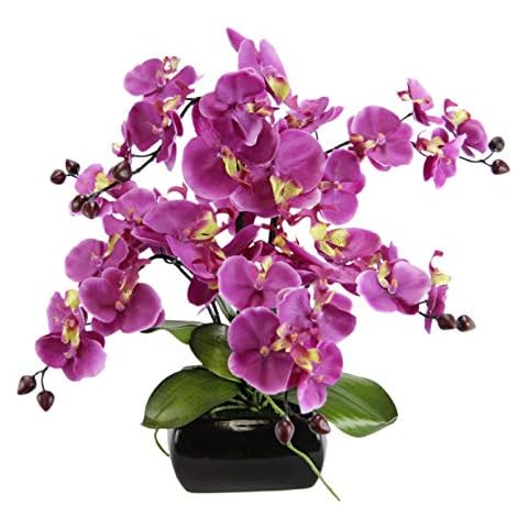 Flair Flower thumbnail