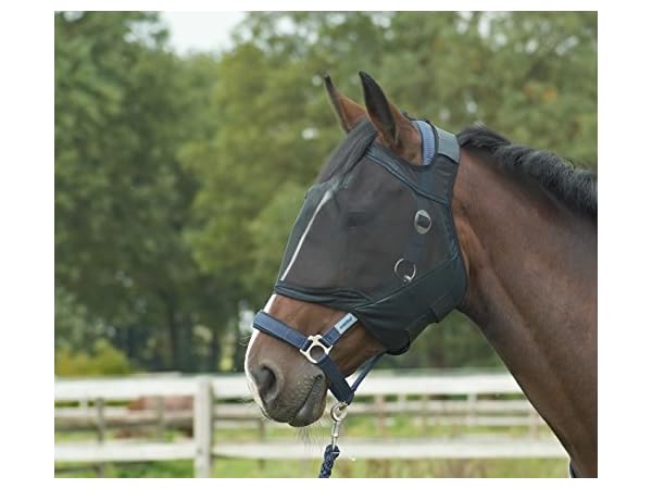 Fliegenschutz für Pferde Vorschaubild