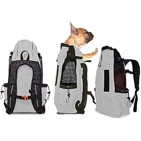 FLKENNEL thumbnail