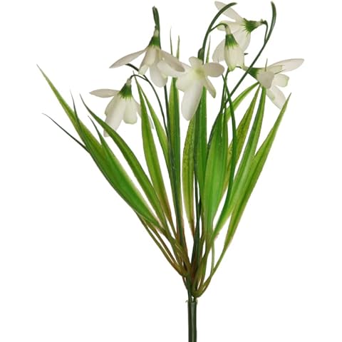 Floratexx thumbnail