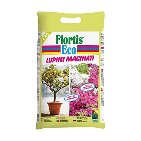 Flortis thumbnail