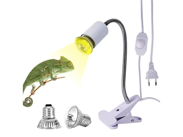 Focos para terrarios Miniatura