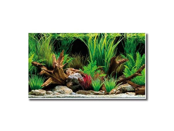 Fondos de decoración para acuarios Miniatura