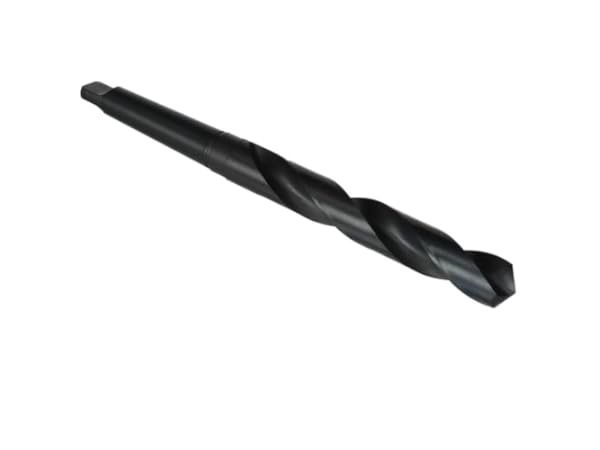 Forets à queue conique Vignette