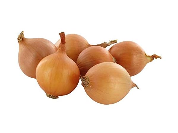 Frische Zwiebeln & Lauch Vorschaubild