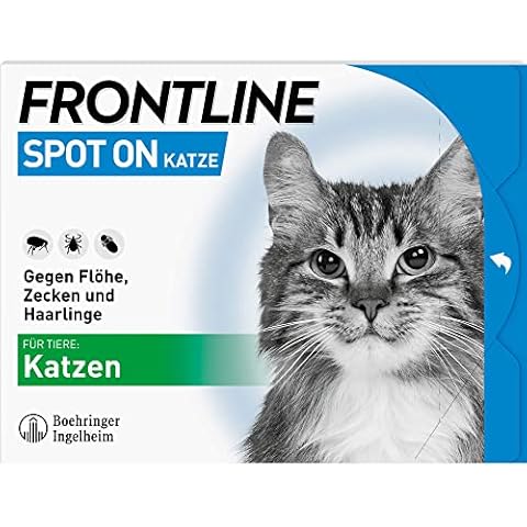 Frontline thumbnail