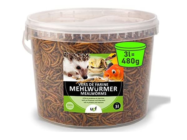 Futter & Leckereinen für Reptilien & Amphibien Vorschaubild