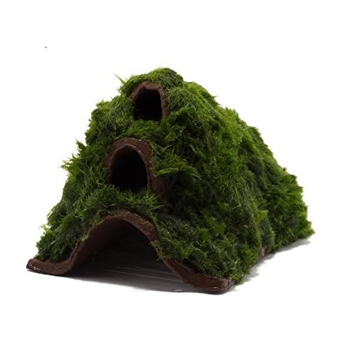 Garnelio Ton mit Moos thumbnail