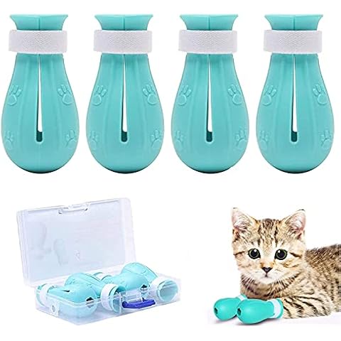 GazyyShopZhuo thumbnail