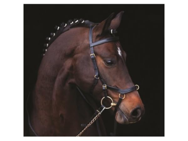 Gebisslose Trensen Vorschaubild