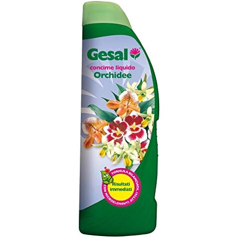 GESAL thumbnail