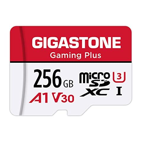 Gigastone thumbnail