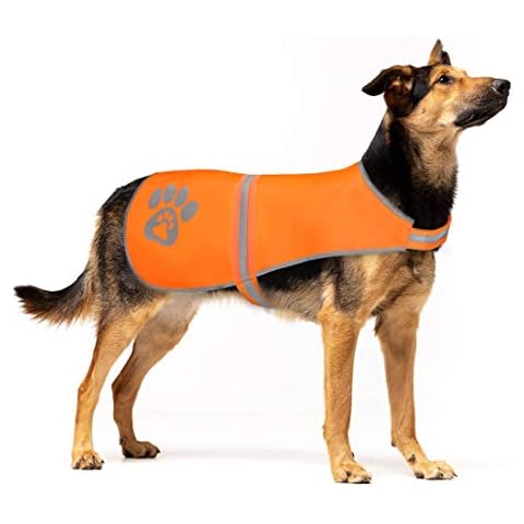 Gilets de sécurité pour petits chiens