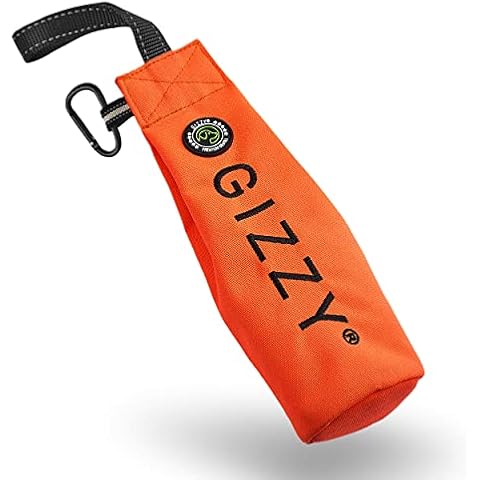 GIZZY thumbnail