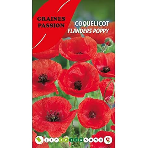 Graines Passion thumbnail