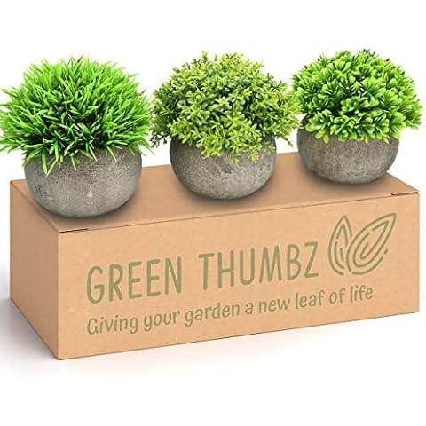 Green Thumbz thumbnail
