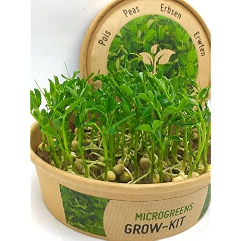 Grow-Win thumbnail