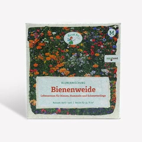 Grüne Fee thumbnail