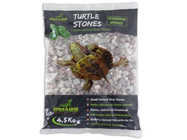Guaridas hábitats reptiles y anfibios Miniatura