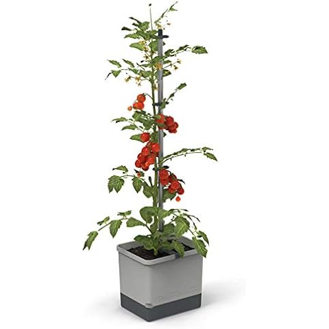 GUSTA GARDEN thumbnail