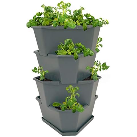 GUSTA GARDEN thumbnail