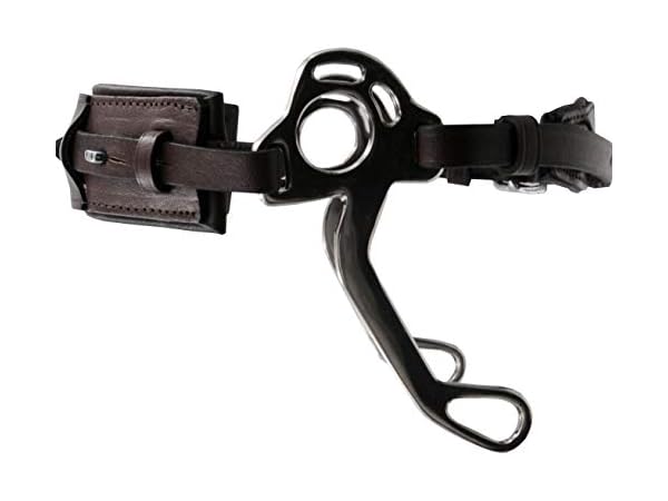 Hackamores Vorschaubild