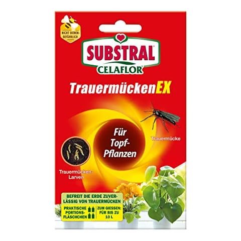 HagebauSPN thumbnail