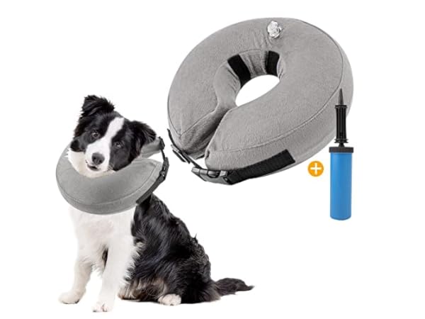 Halskrausen für Hunde Vorschaubild