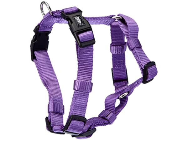 Harnais classiques pour chiens Vignette