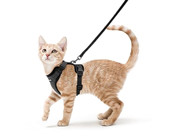 Harnais pour chats Vignette