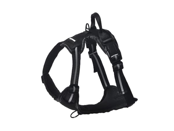 Harnais pour chiens Vignette