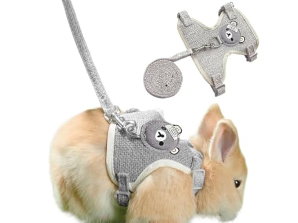 Harnais pour petits animaux Vignette