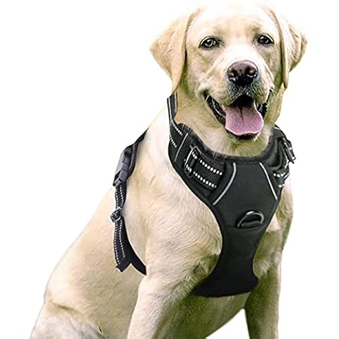 Harnais veste pour chiens