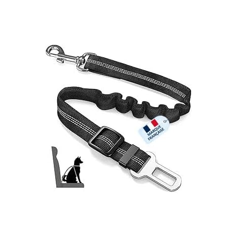 Harnais voiture pour chiens