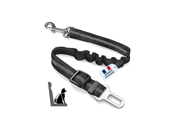 Harnais voiture pour chiens Vignette
