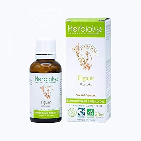 Herbiolys thumbnail