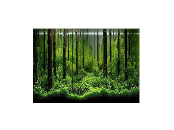Hintergrunddekor für Aquarien Vorschaubild