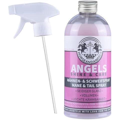 HORSEANDANGELS thumbnail