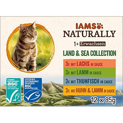 Iams Katzenfutter
