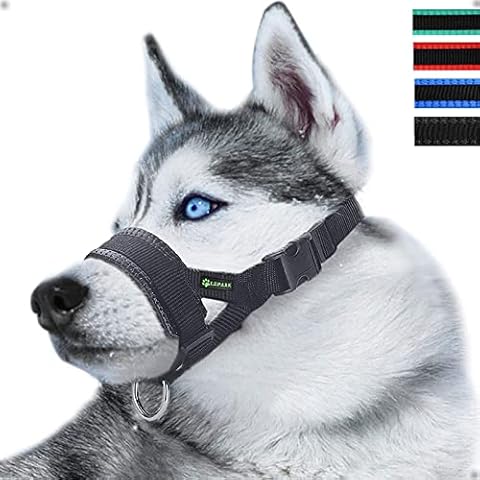 ILEPARK thumbnail