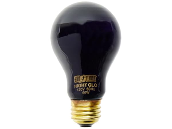 Iluminación LED para terrarios Miniatura