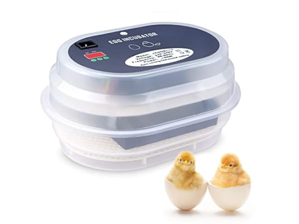 Incubadoras para huevos Miniatura