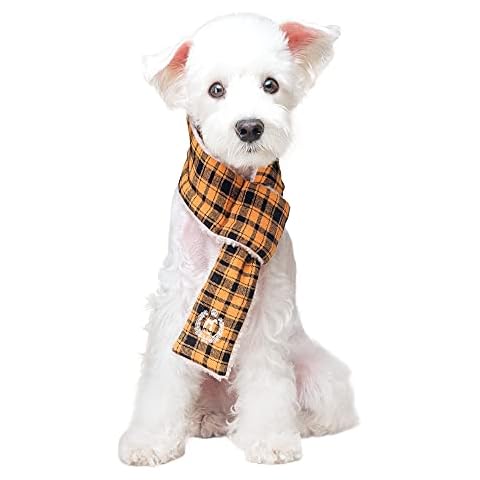 IS PET DESIGNER PETWEAR thumbnail