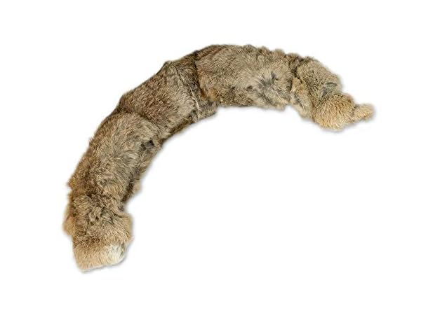 Jagdhundausstattung Vorschaubild