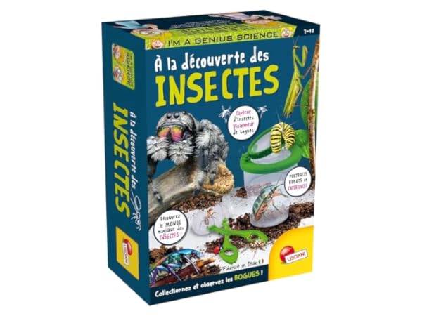 Jeux d'exploration Vignette