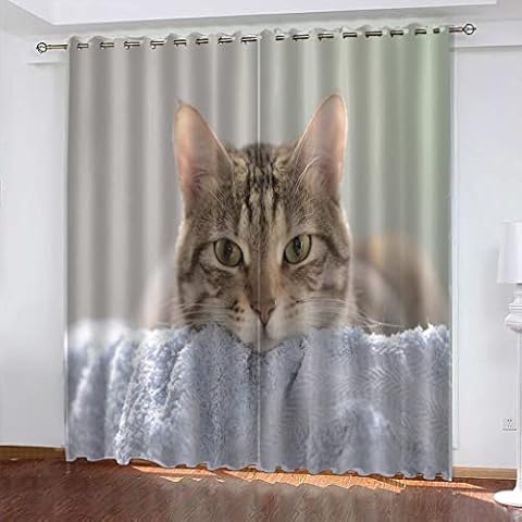 JORILS thumbnail