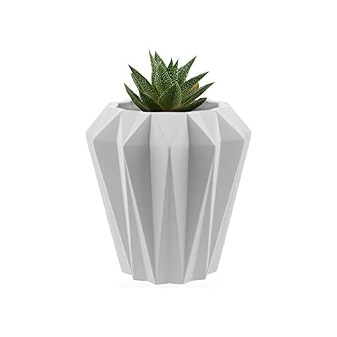 Justplants thumbnail