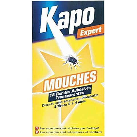 Kapo Expert thumbnail